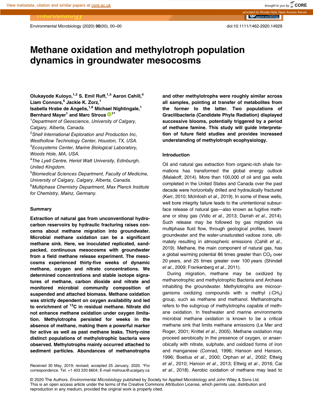 Methane Oxidation and Methylotroph Population Dynamics in Groundwater Mesocosms