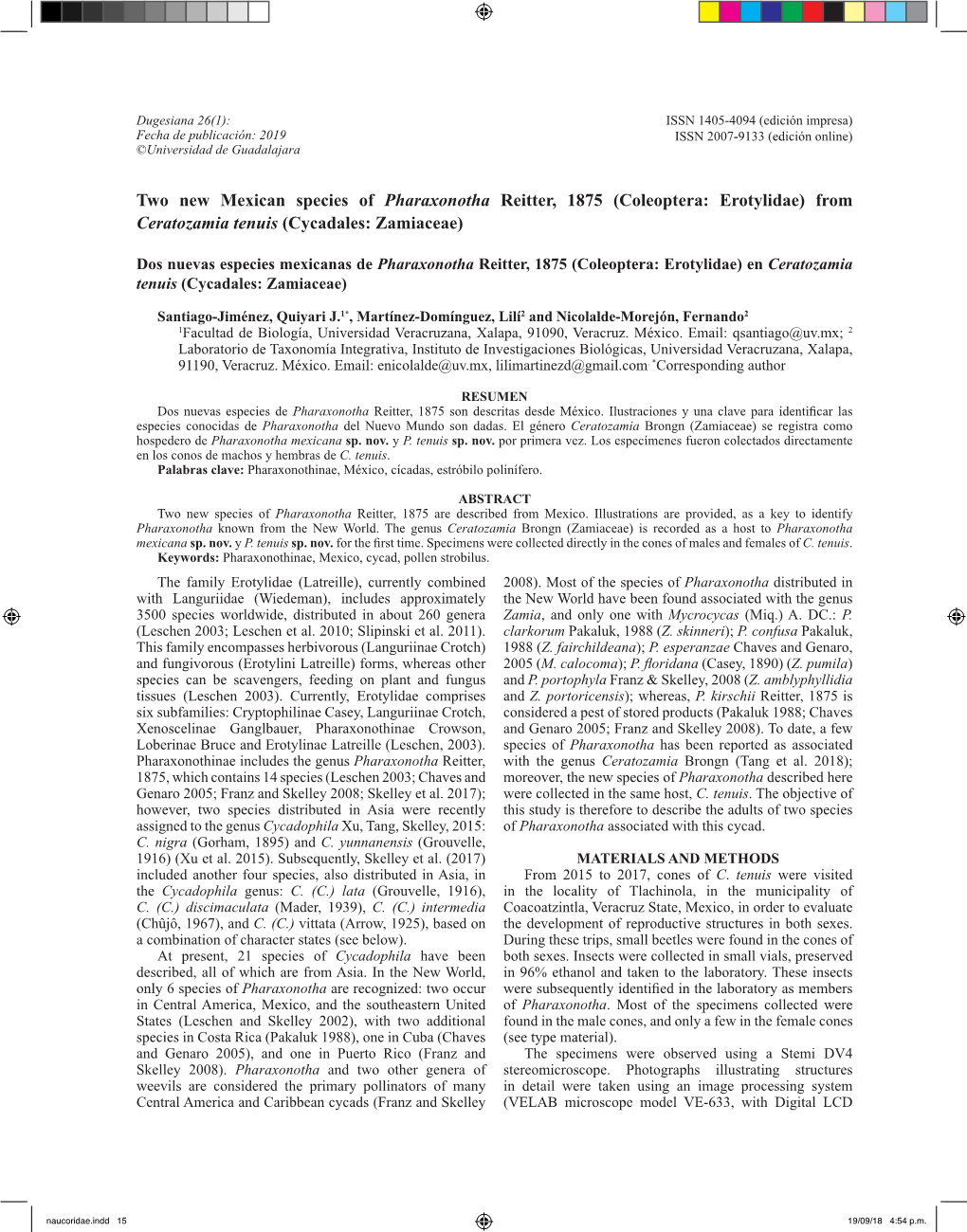 Two New Mexican Species of Pharaxonotha Reitter, 1875 (Coleoptera: Erotylidae) from Ceratozamia Tenuis (Cycadales: Zamiaceae)