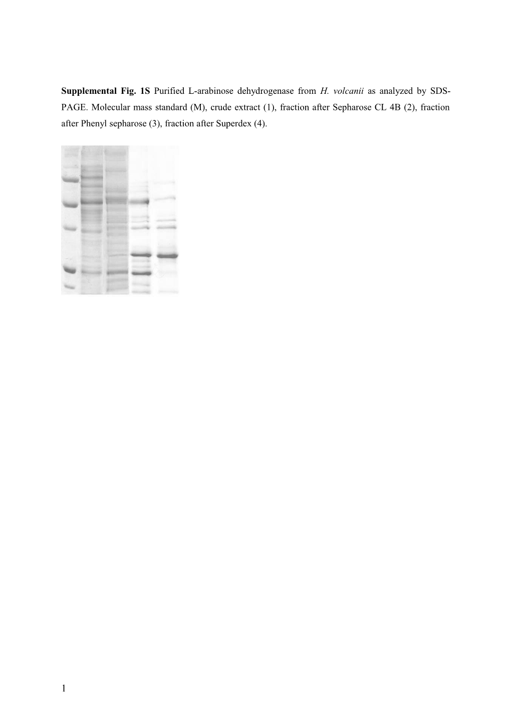 Novel Type of L-Arabinose Dehydrogenase: the First Step of L-Arabinose Degradation To