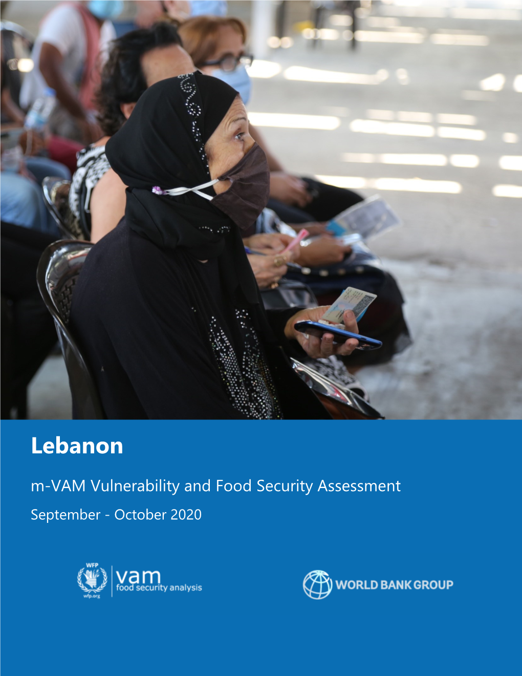 Lebanon – Mvam Food Securiy and Livelihood Assessment