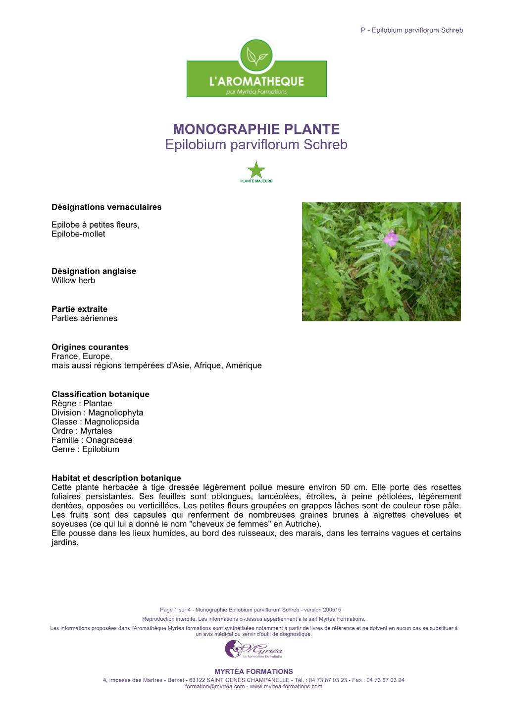 MONOGRAPHIE PLANTE Epilobium Parviflorum Schreb