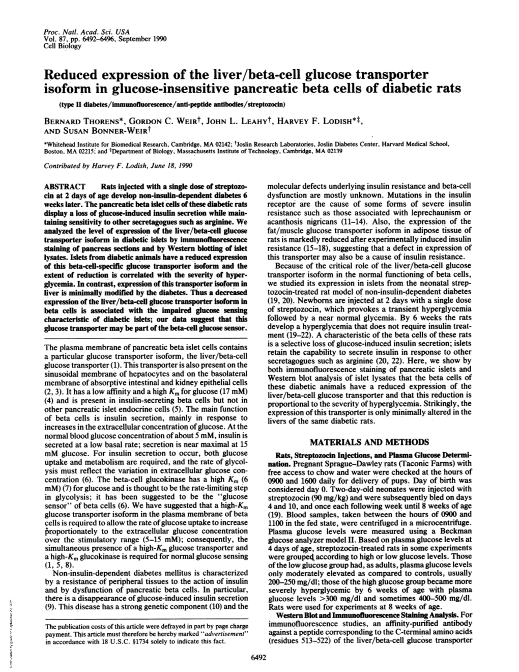 Reduced Expression of the Liver/Beta-Cell Glucose Transporter