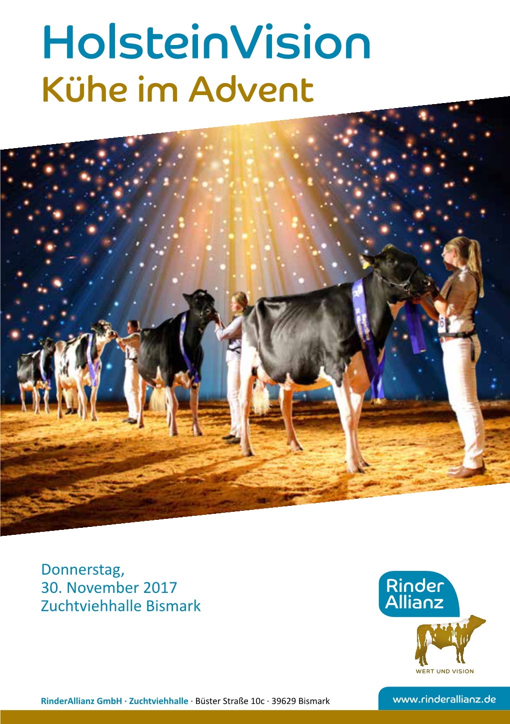 Holsteinvision Kühe Im Advent