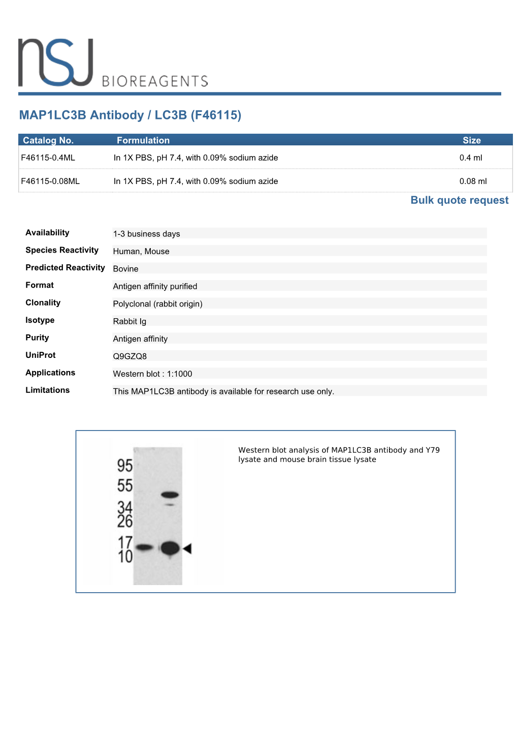 MAP1LC3B Antibody / LC3B (F46115)