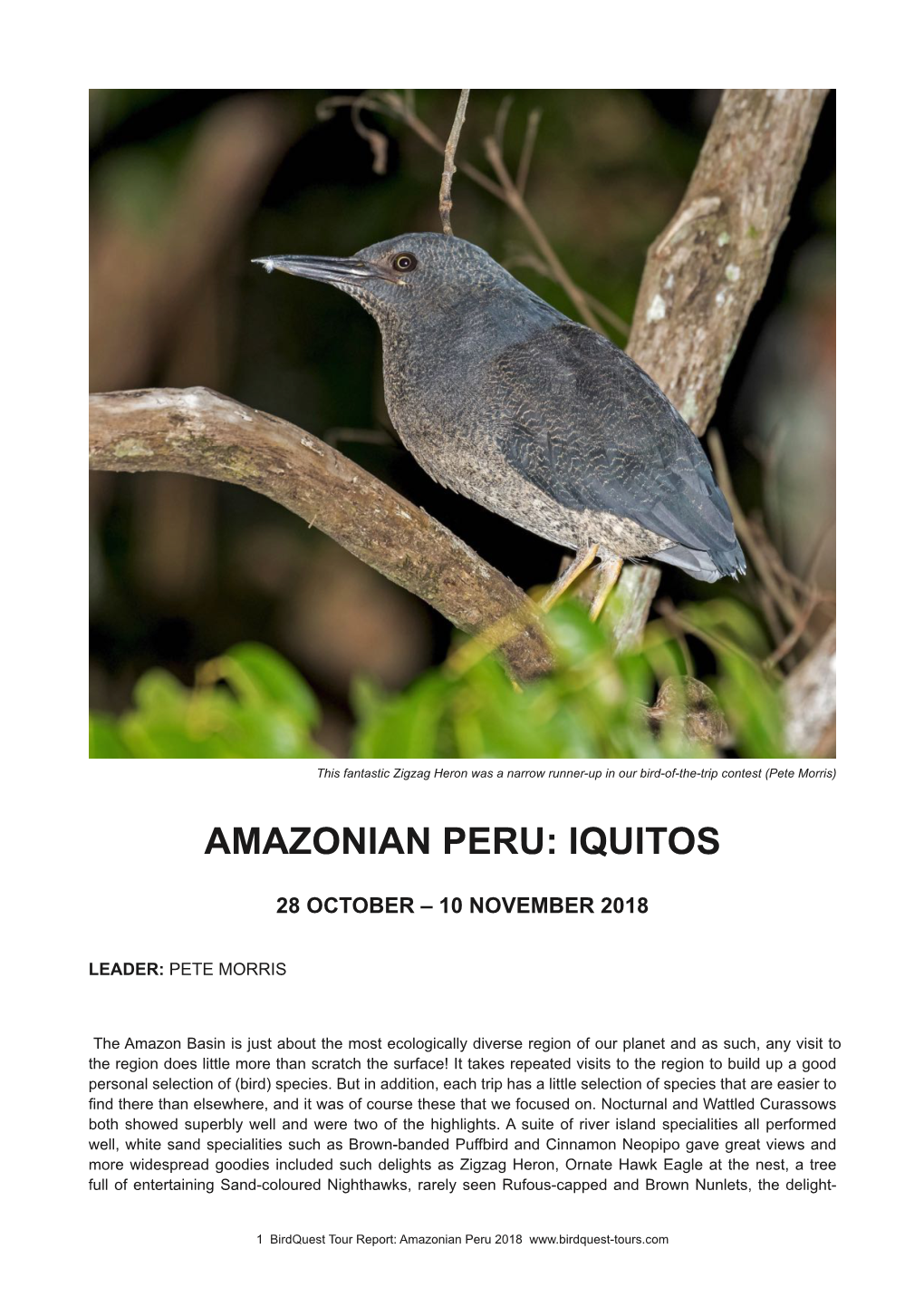 Amazonian Peru: Iquitos