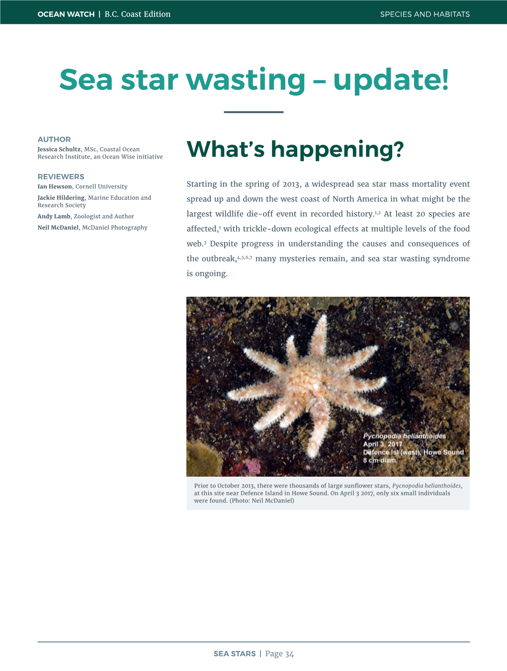 Sea Star Wasting – Update!