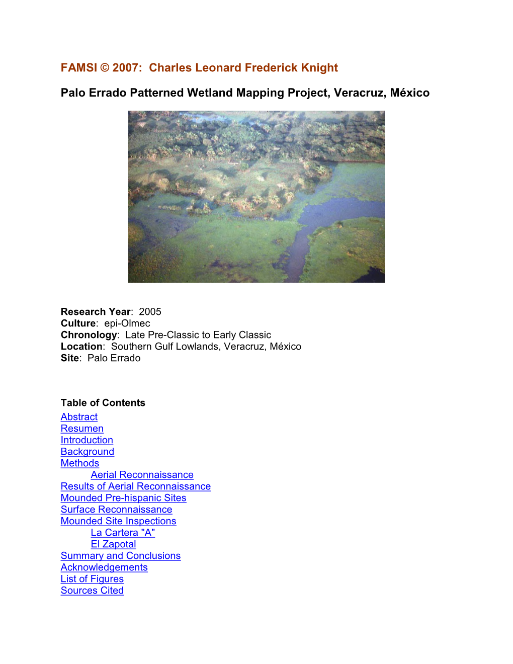 Palo Errado Patterned Wetland Mapping Project, Veracruz, México