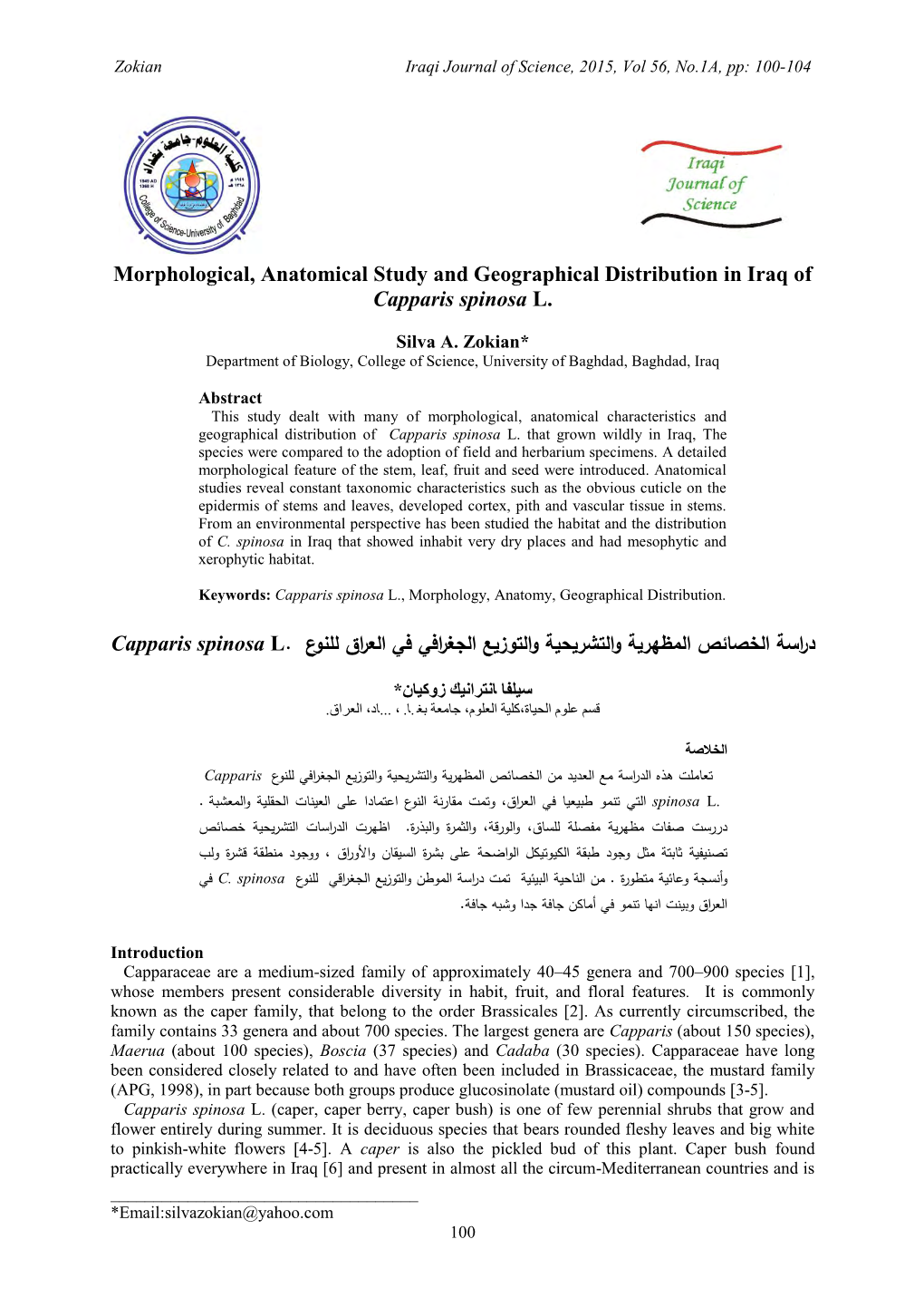 Morphological, Anatomical Study and Geographical Distribution in Iraq of Capparis Spinosa L