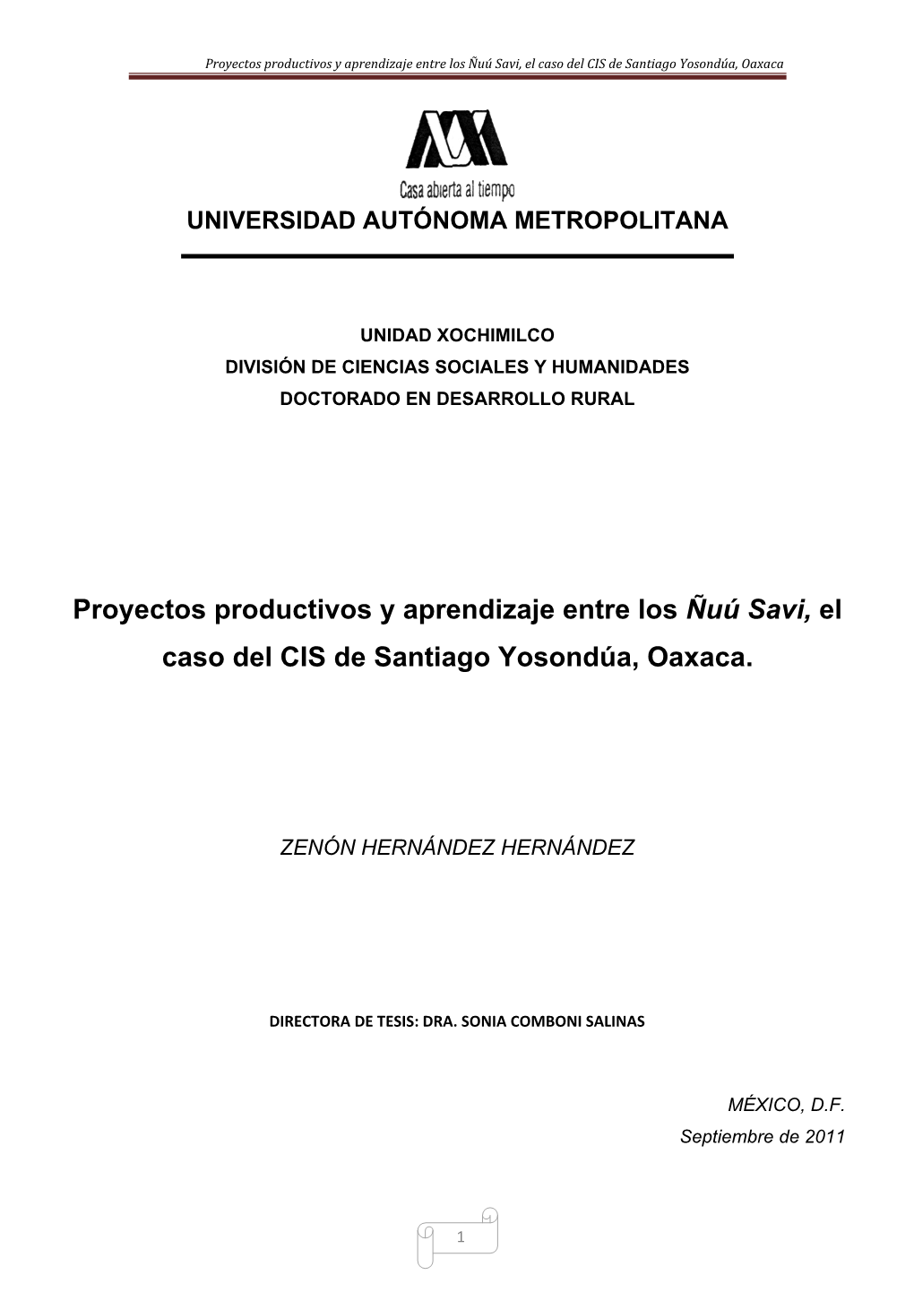 Proyectos Productivos Y Aprendizaje Entre Los Ñuú Savi, El Caso Del CIS De Santiago Yosondúa, Oaxaca