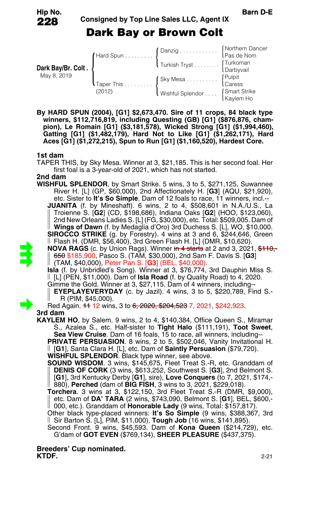 228 Consigned by Top Line Sales LLC, Agent IX Dark Bay Or Brown Colt