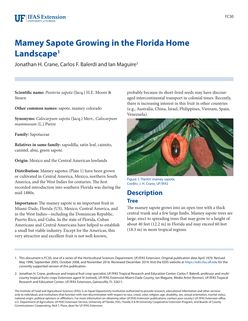 Mamey Sapote Growing in the Florida Home Landscape1 Jonathan H