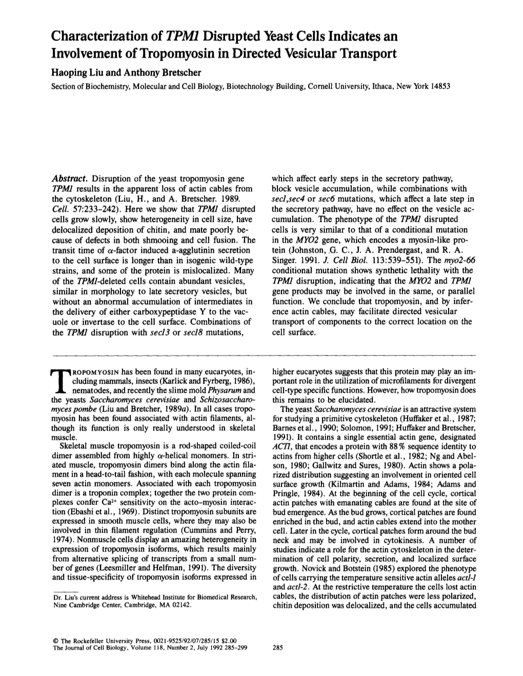 Characterization of TPM1 Disrupted Yeast Cells Indicates An