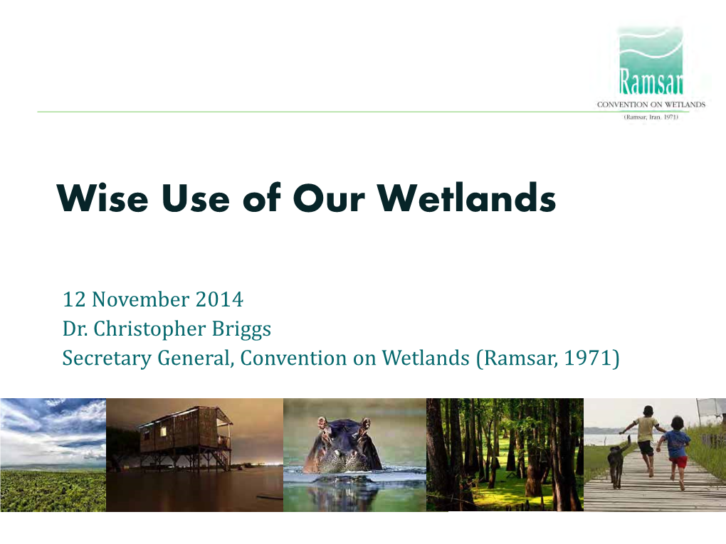 Wise Use of Our Wetlands
