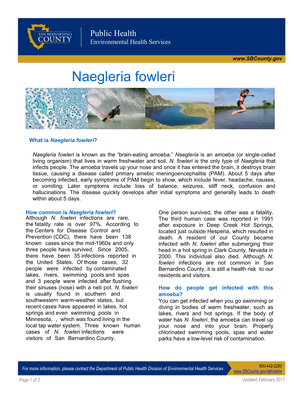 Naegleria Fowleri