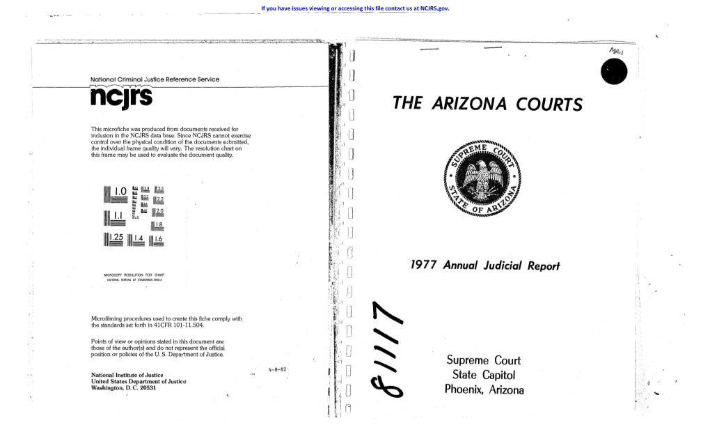 The Arizona Courts