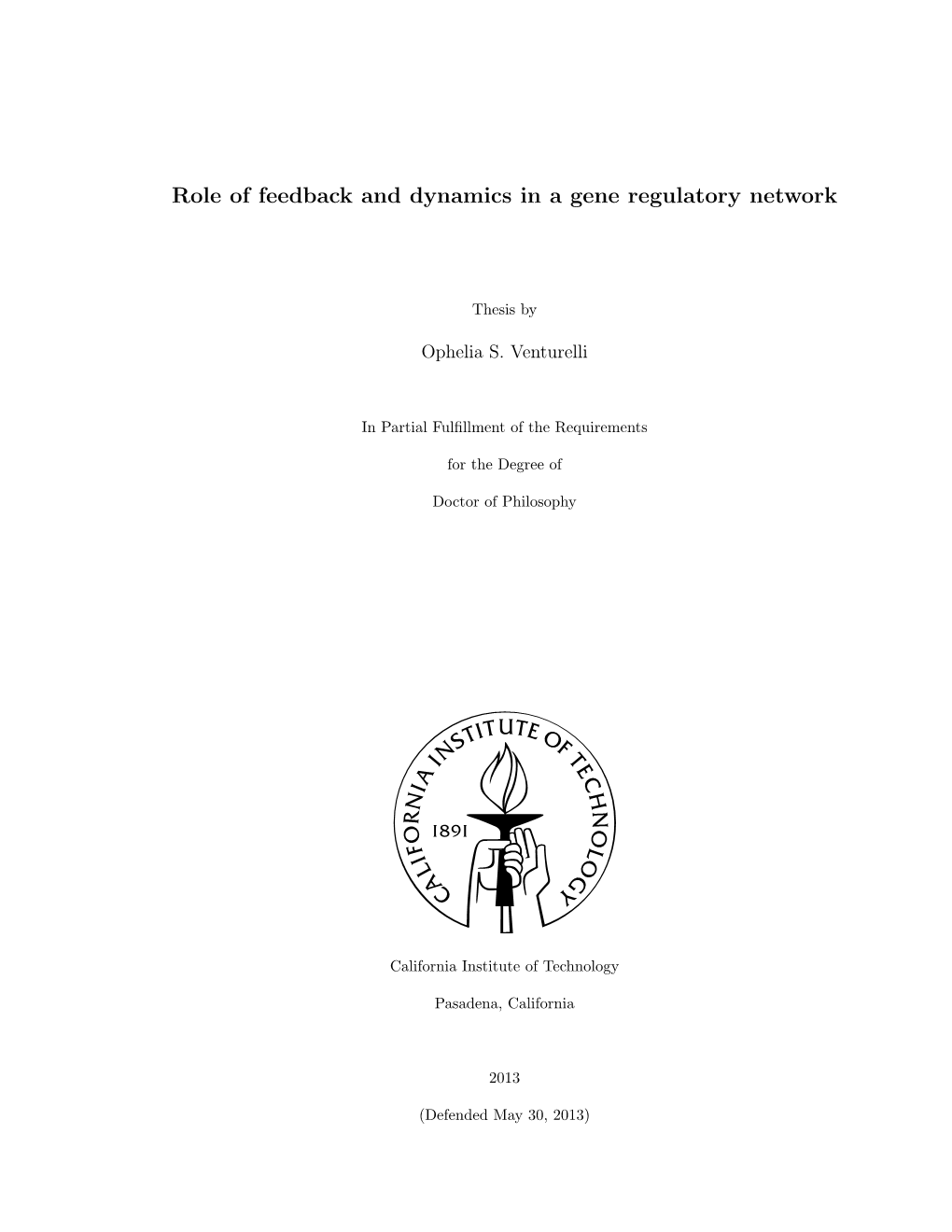 Role of Feedback and Dynamics in a Gene Regulatory Network