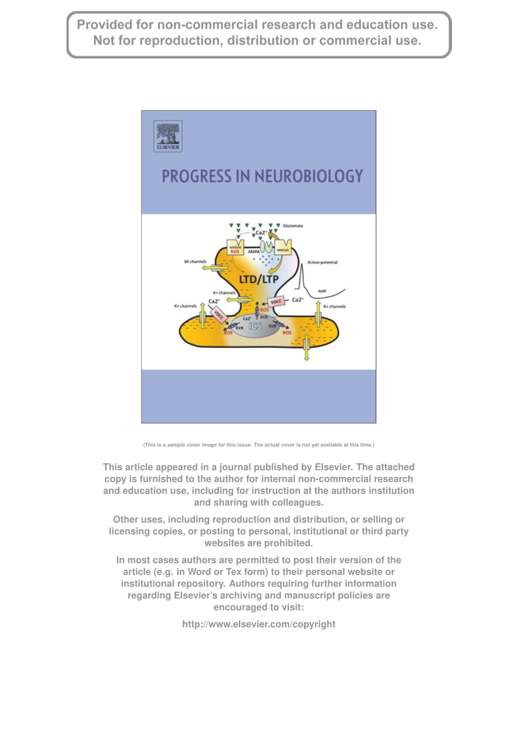 Waking and Dreaming Consciousness: Neurobiological and Functional Considerations