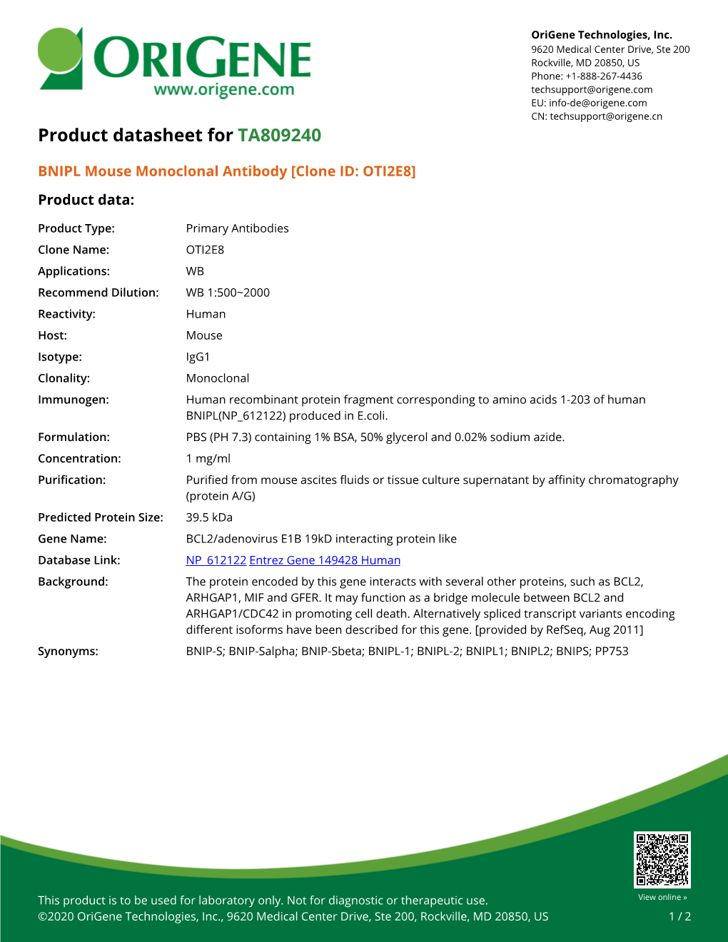 BNIPL Mouse Monoclonal Antibody [Clone ID: OTI2E8] – TA809240