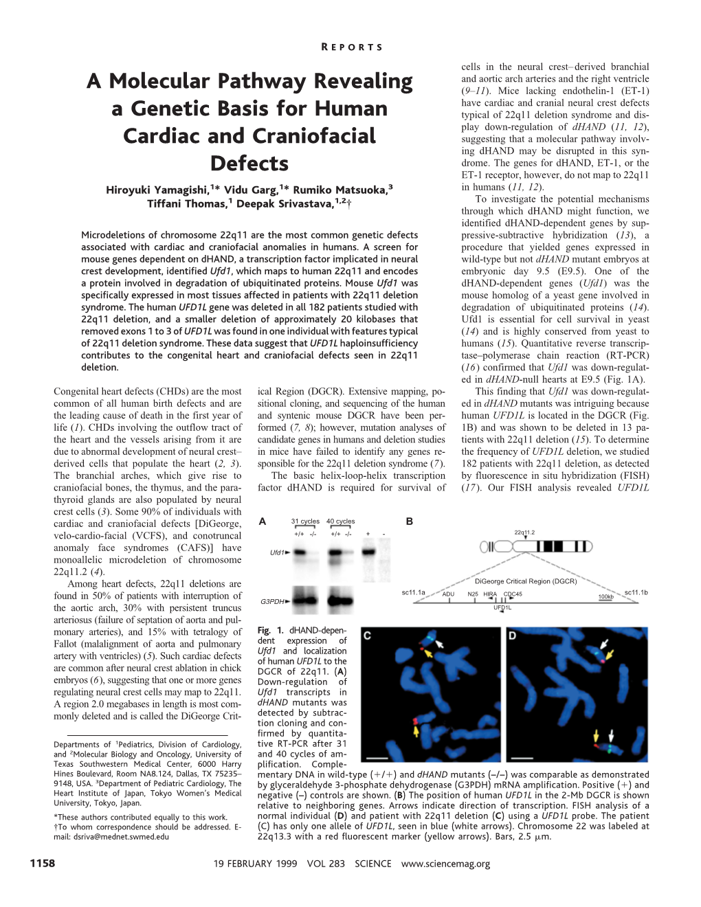 A Molecular Pathway Revealing a Genetic Basis for Human Cardiac