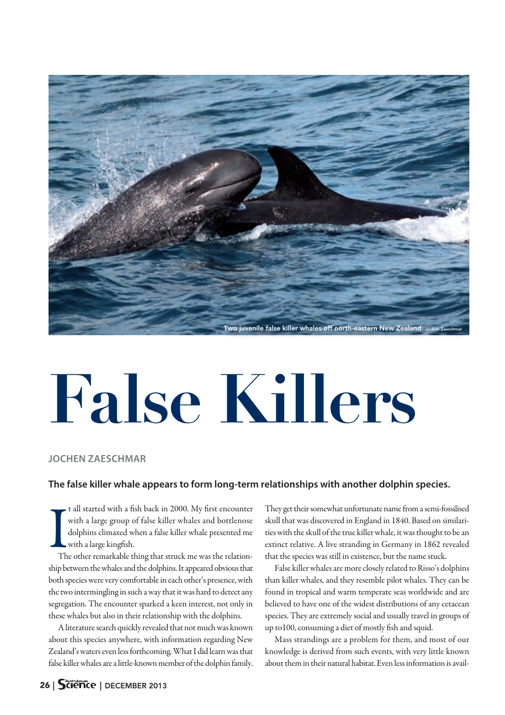JOCHEN ZAESCHMAR the False Killer Whale Appears to Form Long