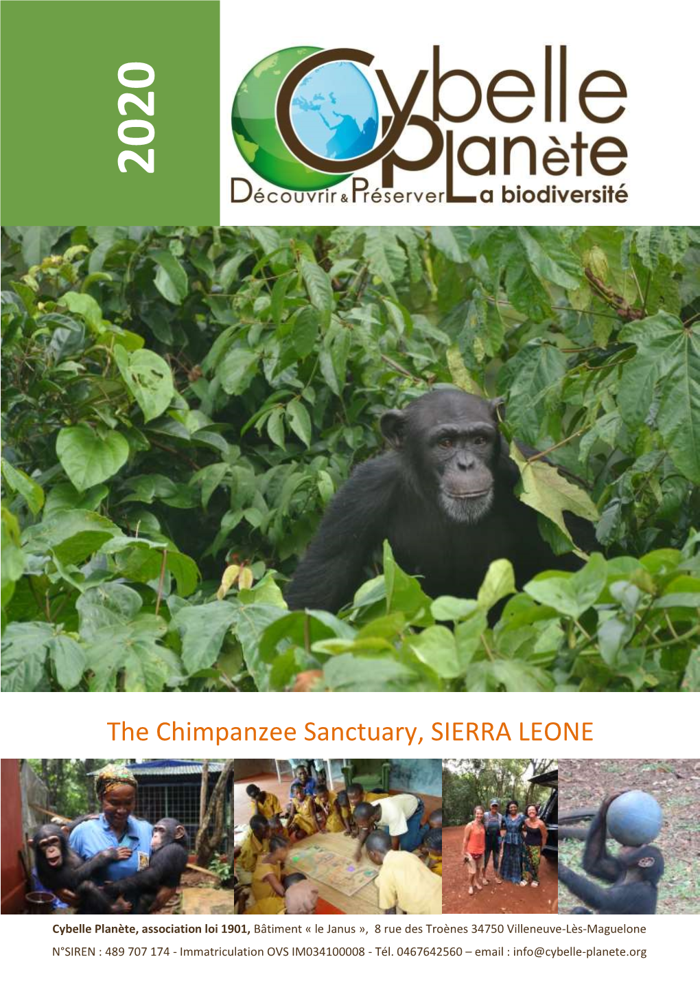 The Chimpanzee Sanctuary, SIERRA LEONE