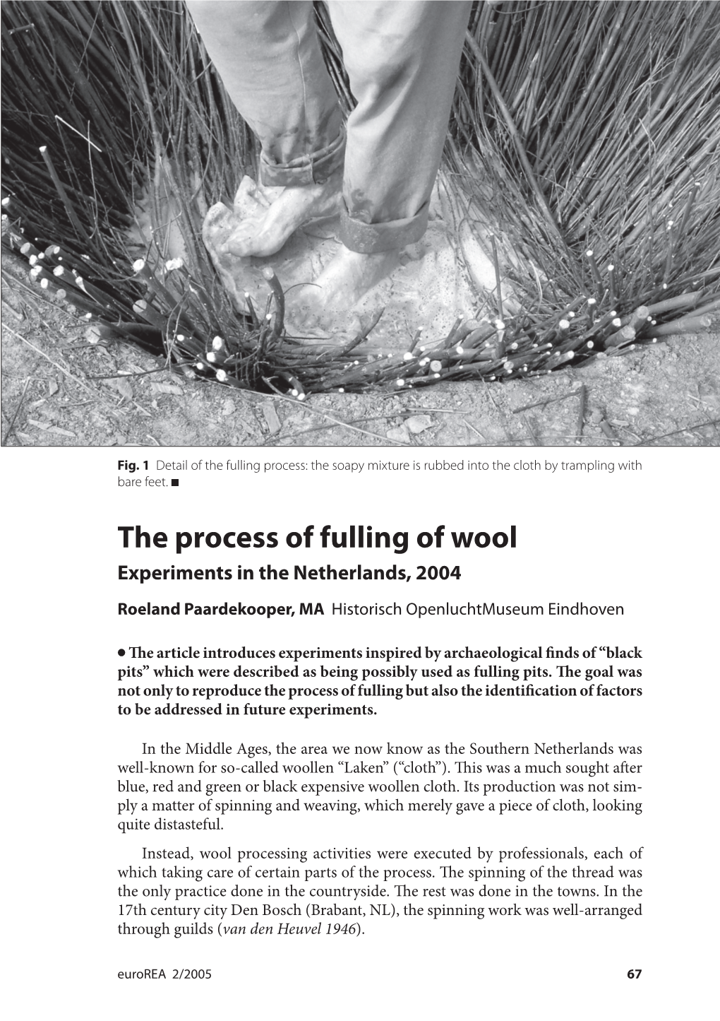 The Process of Fulling of Wool