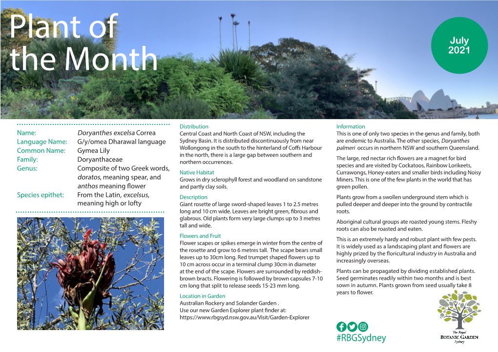 Plant of the Month