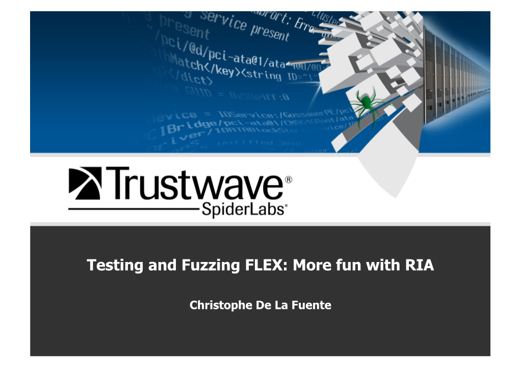 Testing and Fuzzing FLEX: More Fun with RIA