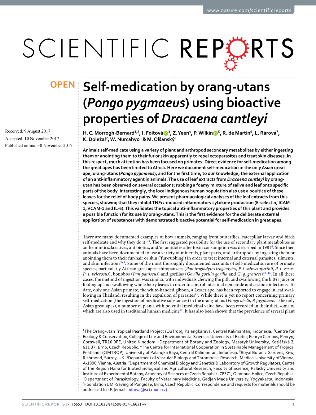 Self-Medication by Orang-Utans (Pongo Pygmaeus) Using Bioactive Properties of Dracaena Cantleyi Received: 9 August 2017 H