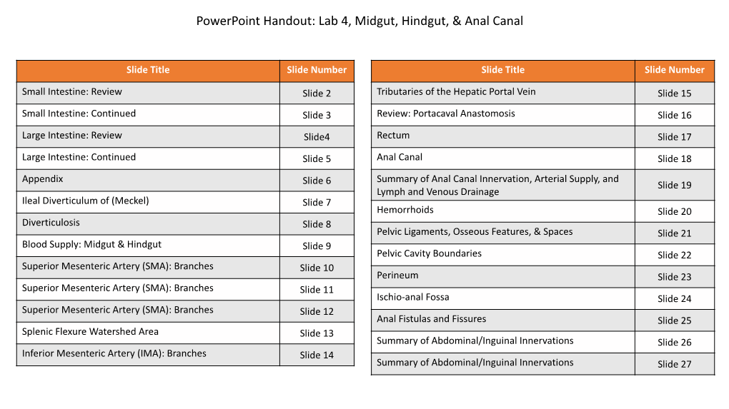 Powerpoint Handout: Lab 4, Midgut, Hindgut, & Anal Canal