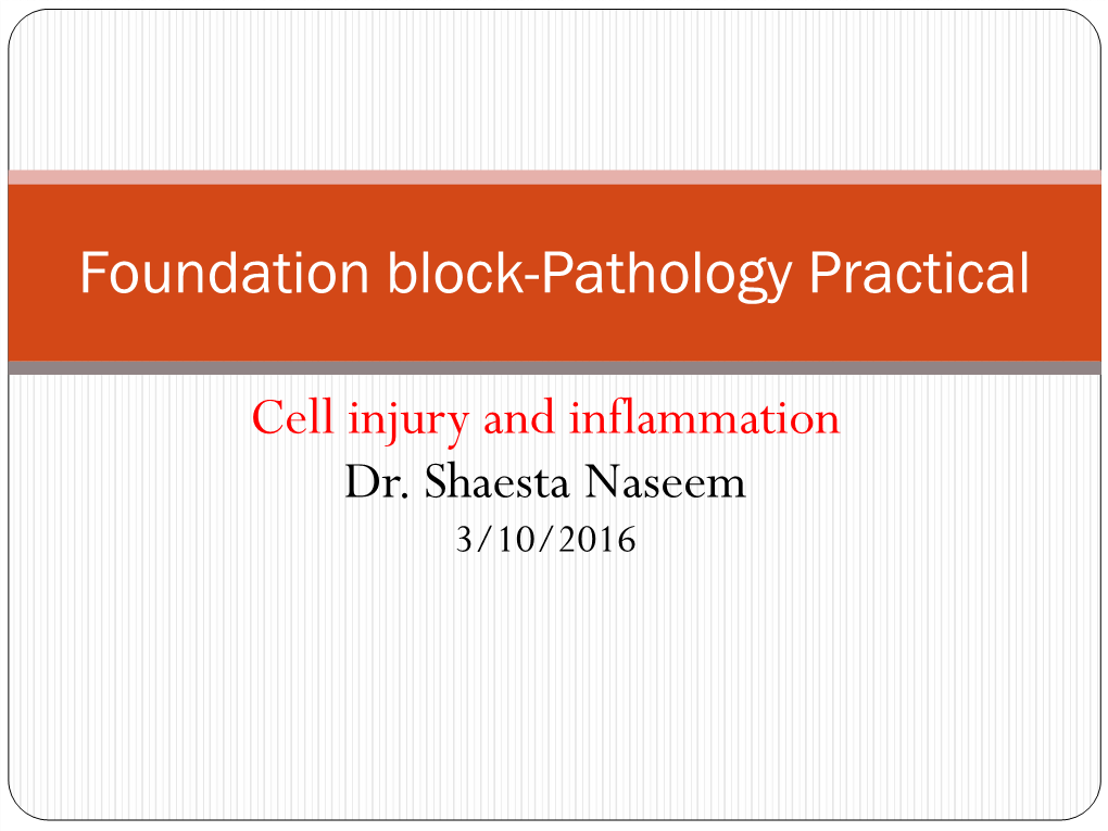 Foundation Block-Pathology Practical