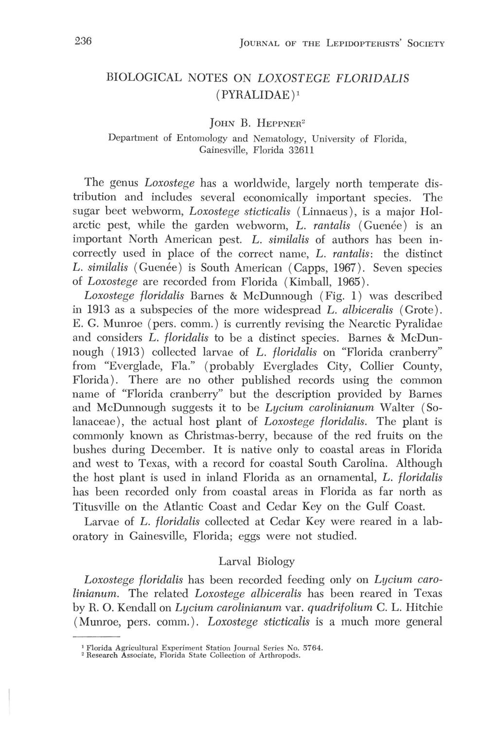 Biological Notes on Loxostege Floridalis (Pyralidae)