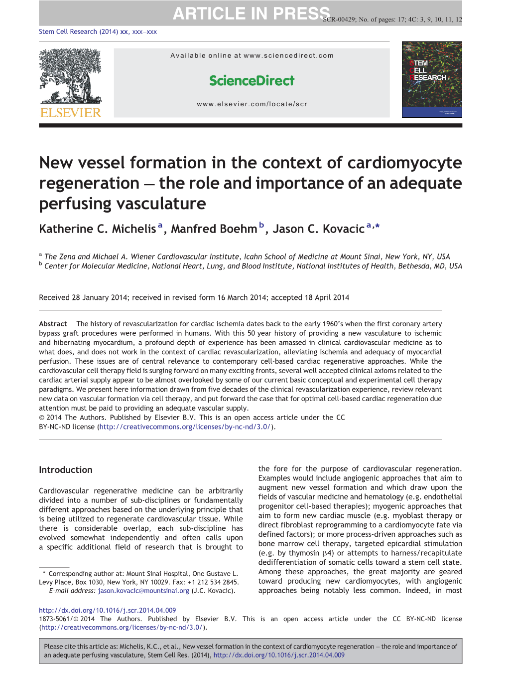 New Vessel Formation in the Context of Cardiomyocyte Regeneration – the Role and Importance of an Adequate Perfusing Vasculature Katherine C