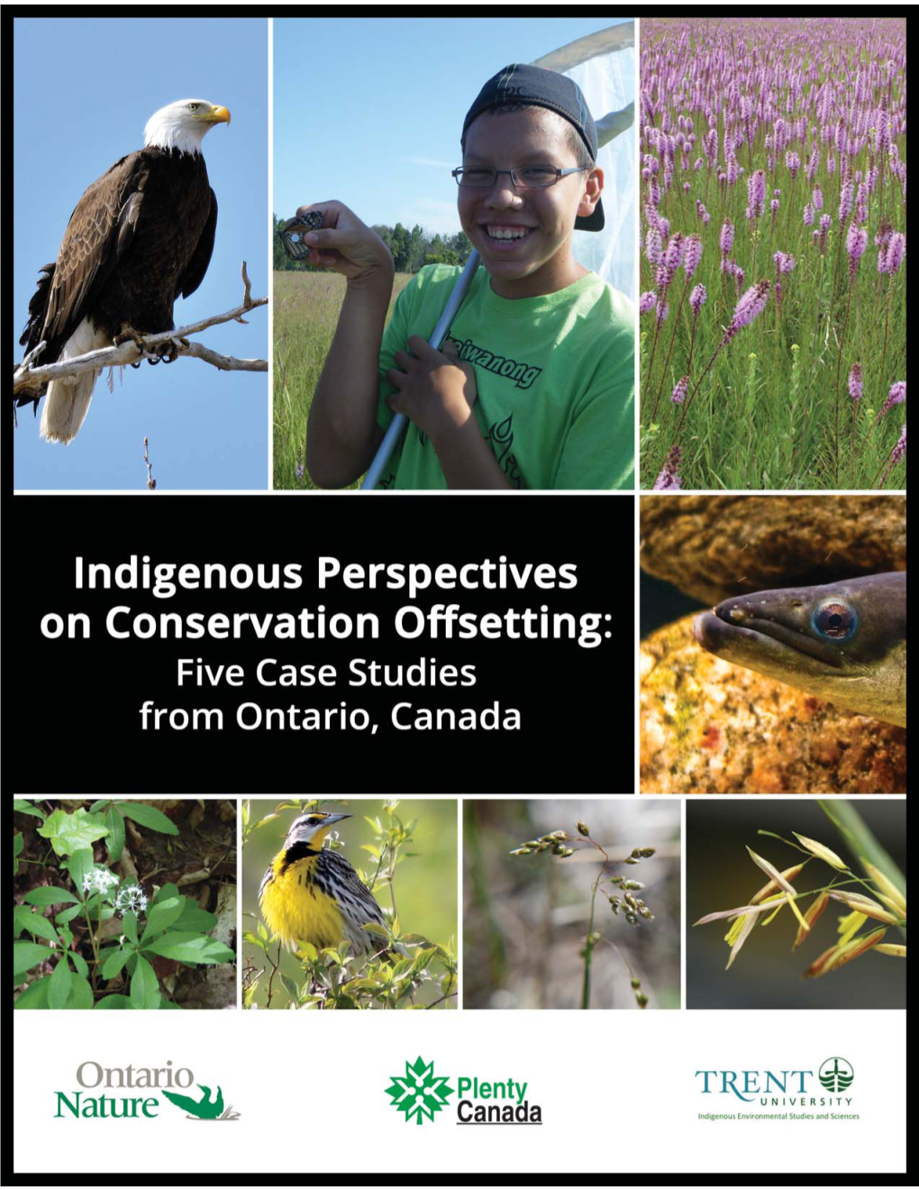 Indigenous Perspectives on Conservation Offsetting: Five Case Studies from Ontario, Canada