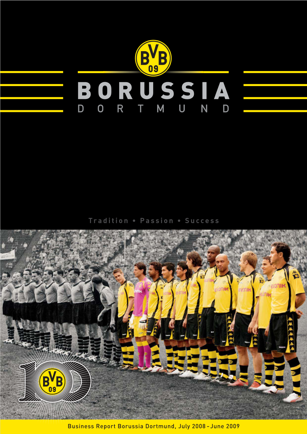 BVB Business Report 2009