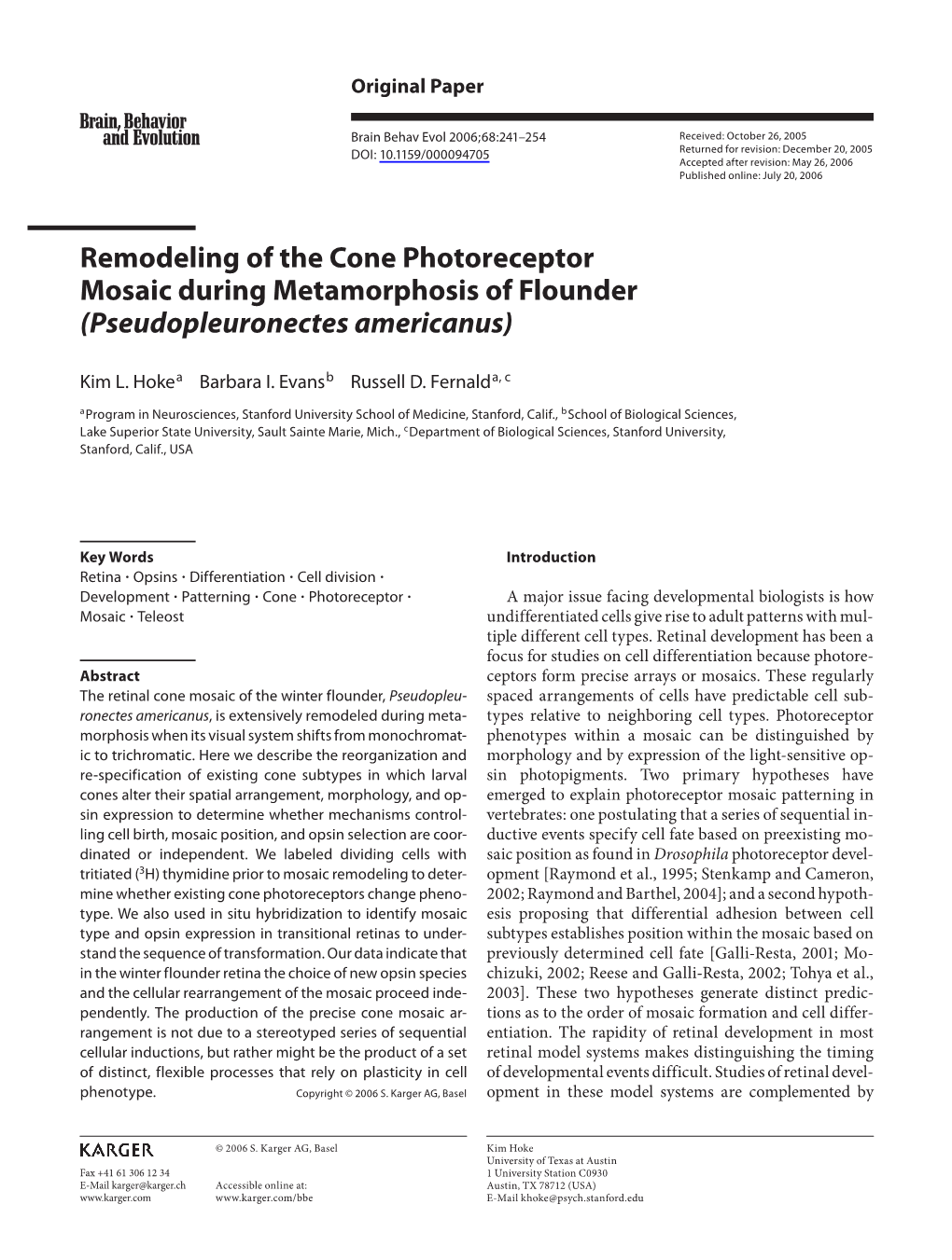 Remodeling of the Cone Photoreceptor Mosaic During Metamorphosis of Flounder (Pseudopleuronectes Americanus)