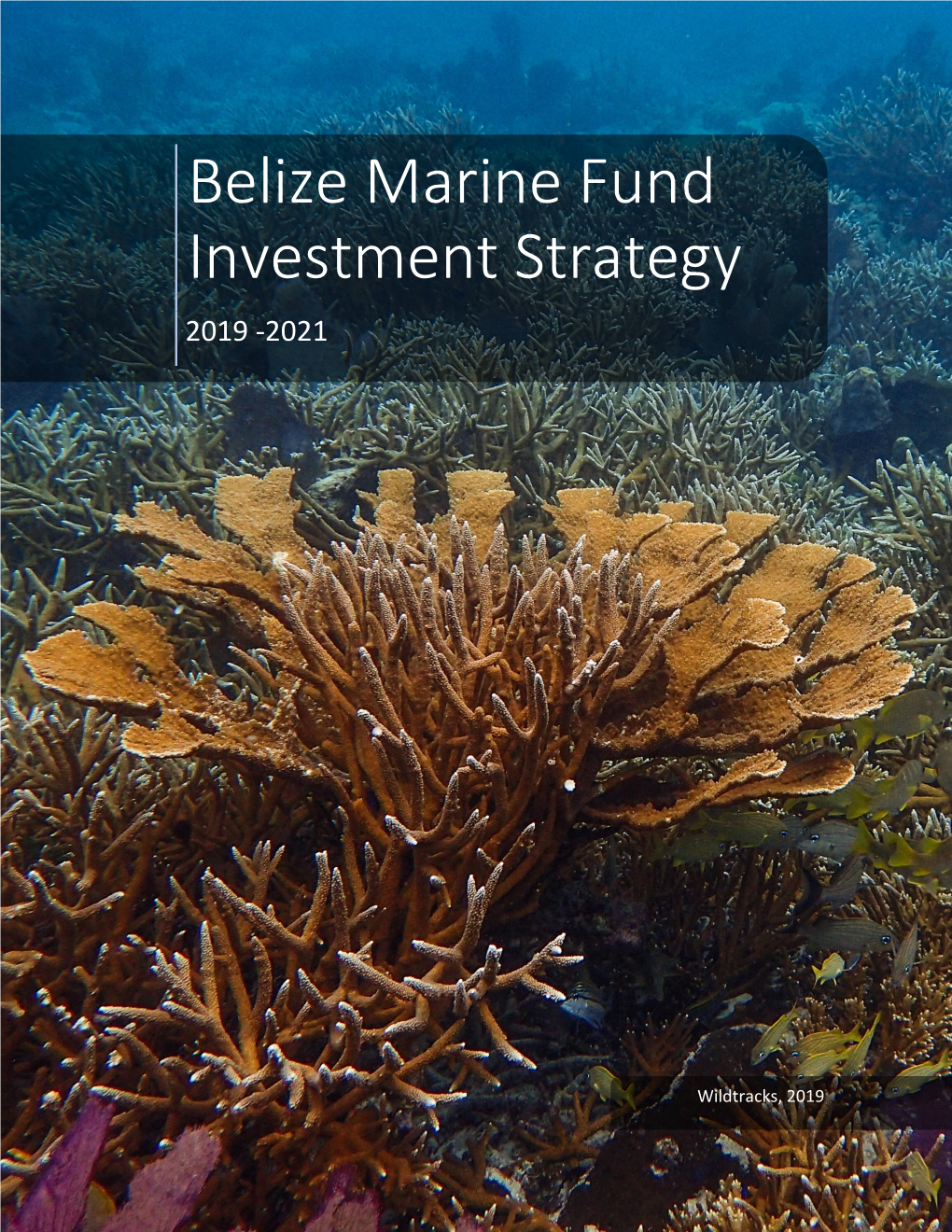 Belize Marine Fund Investment Strategy