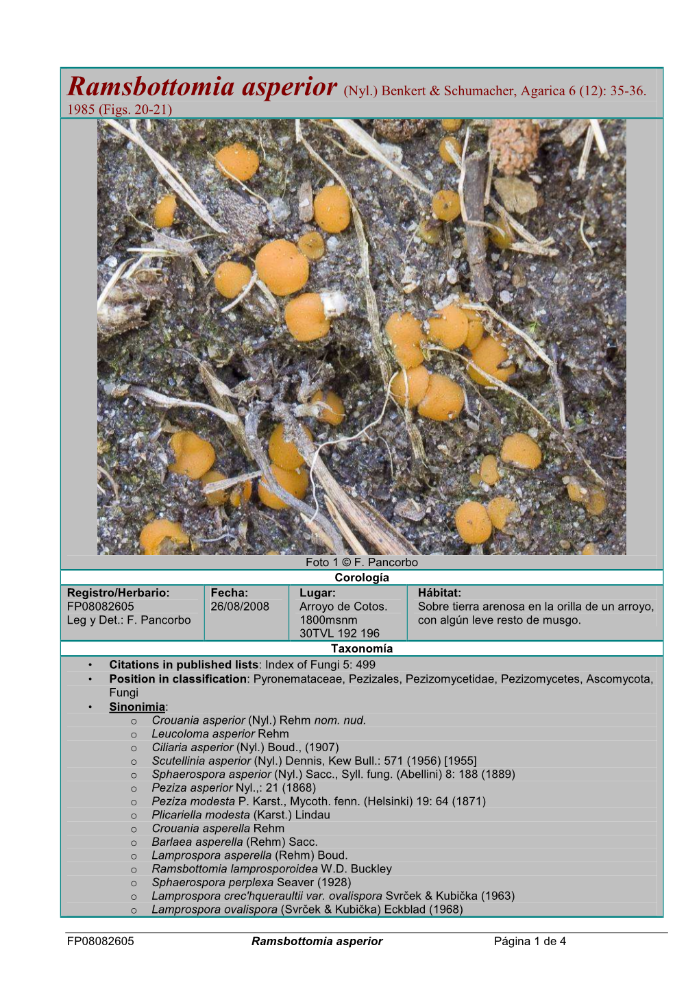 Ramsbottomia Asperior (Nyl.) Benkert & Schumacher, Agarica 6 (12): 35-36