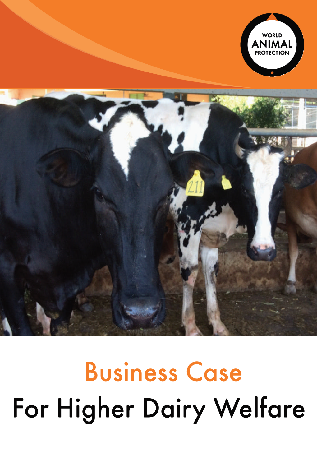 Business Case for Higher Dairy Welfare About Us