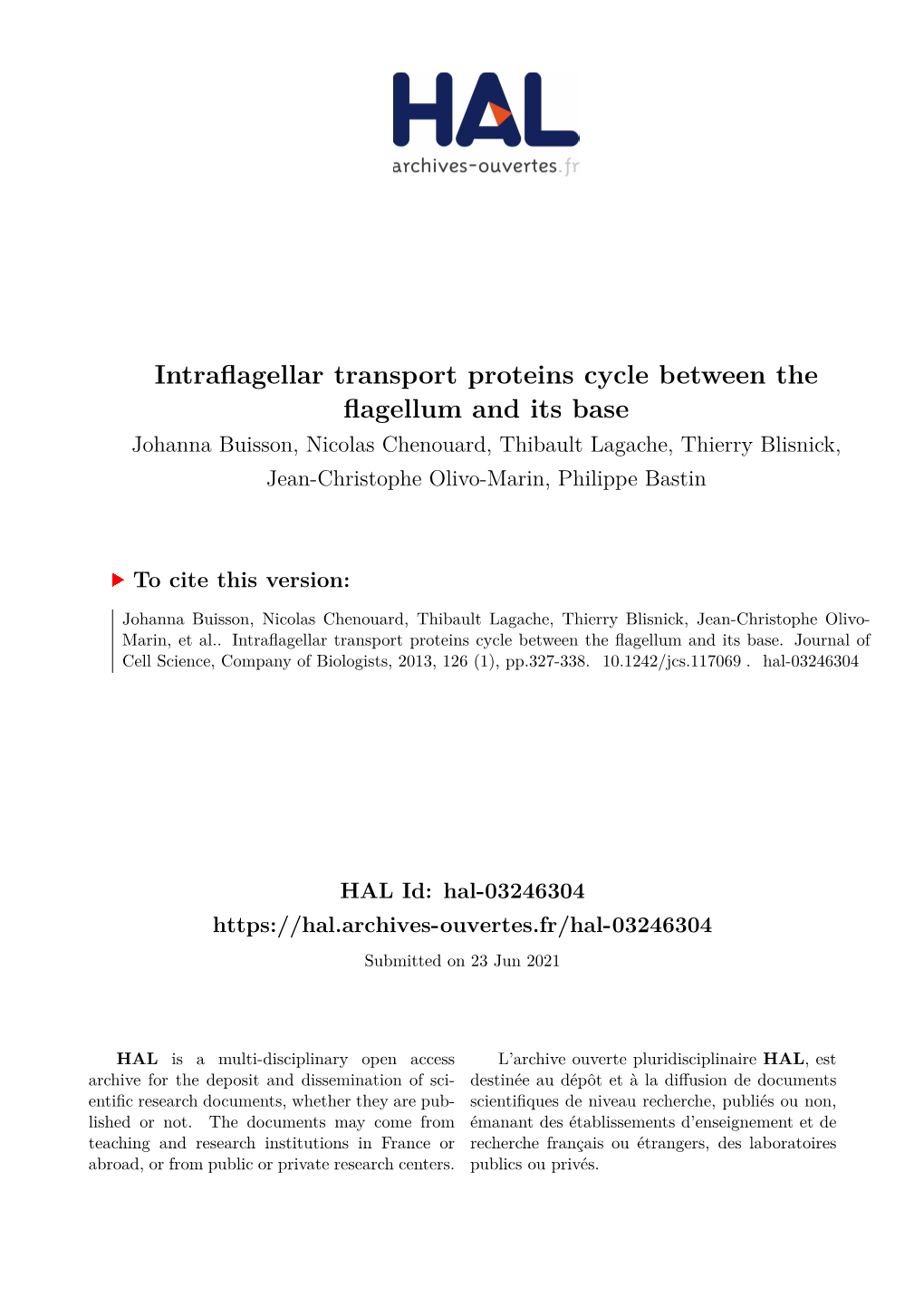 Intraflagellar Transport Proteins Cycle Between the Flagellum and Its Base
