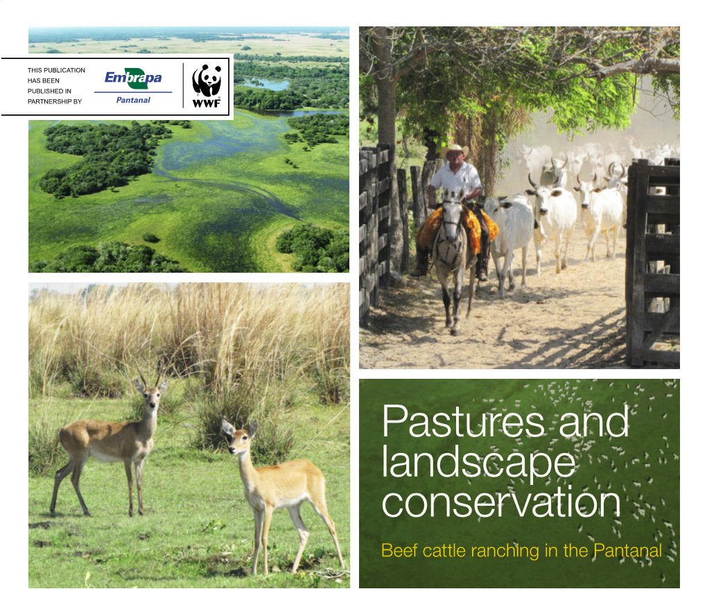 Pastures and Landscape Conservation Beef Cattle Ranching in the Pantanal Pastures and Landscape Conservation › BEEF CATTLE RANCHING in the PANTANAL 1