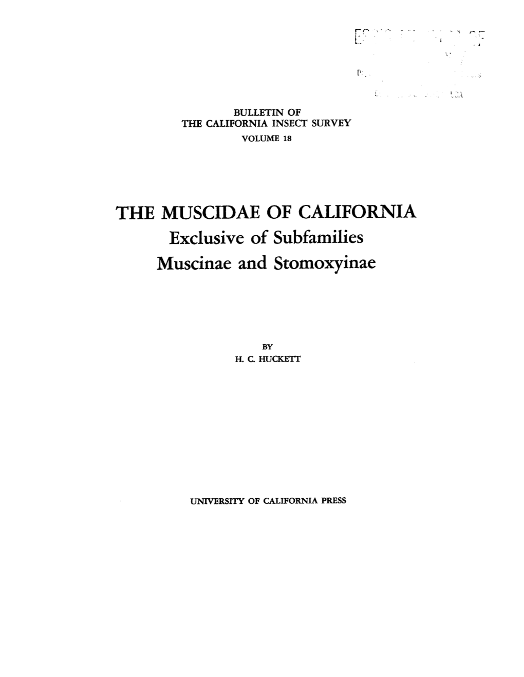 THE MUSCIDAE of CALIFORNIA Exclusive of Subfamilies Muscinae and Stomoxyinae