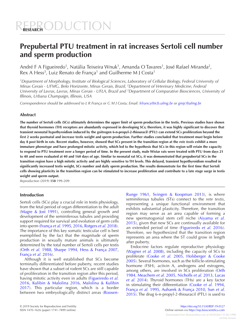 Prepubertal PTU Treatment in Rat Increases Sertoli Cell Number and Sperm Production