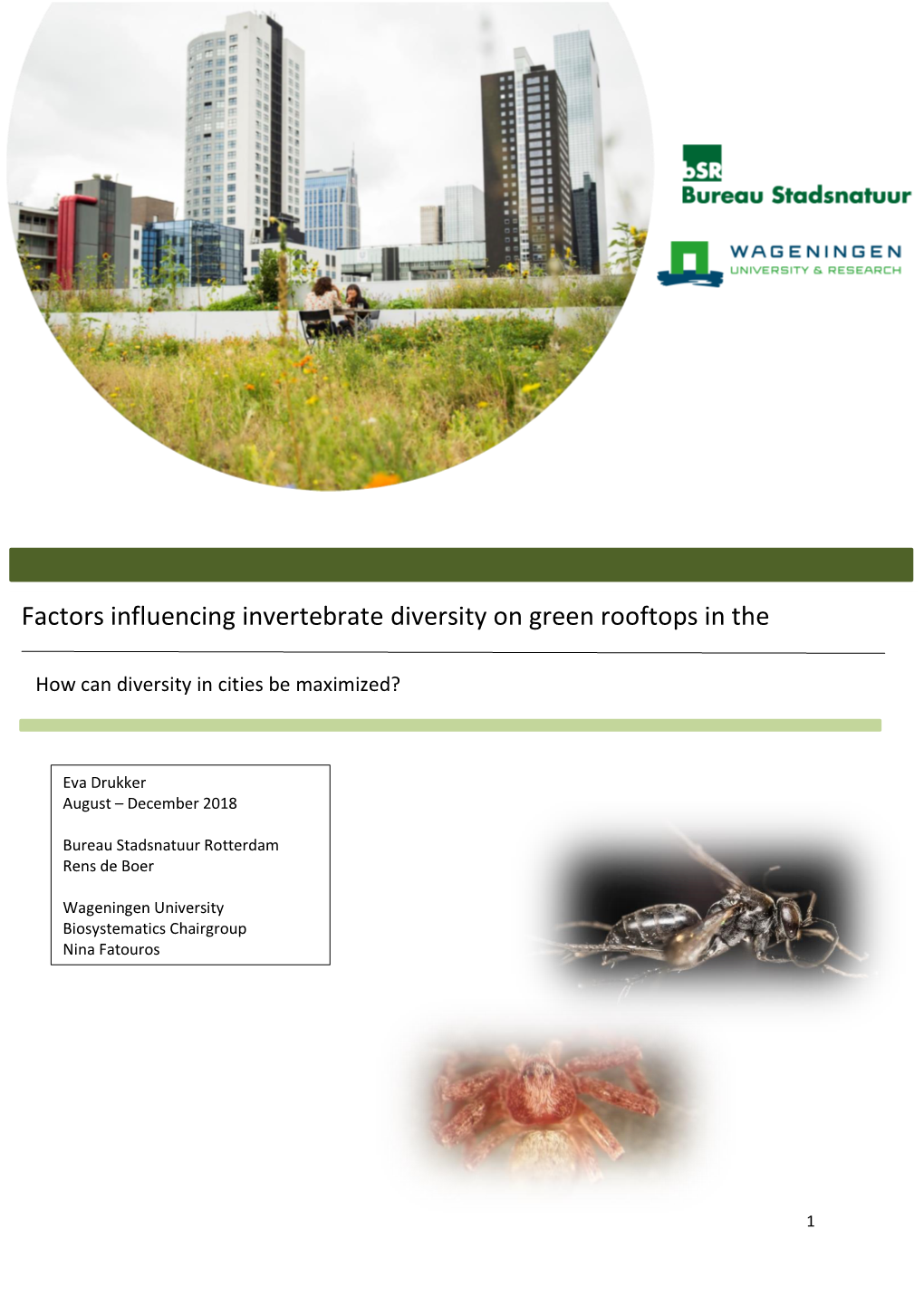 Factors Influencing Invertebrate Diversity on Green Rooftops in the Netherlands How Can Diversity in Cities Be Maximized?