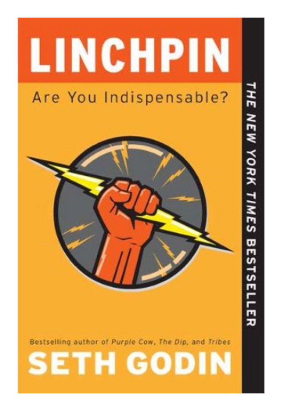 Linchpin Are You Indispensable.Pdf