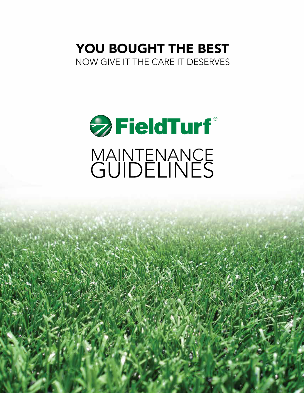 Maintenance Guidelines Fieldturf Maintenance Guidelines Fieldturf Maintenance Guidelines