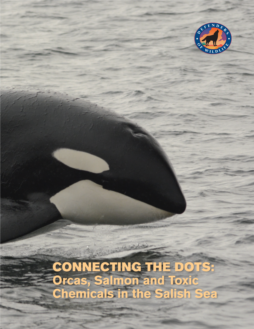 CONNECTING the DOTS: Orcas, Salmon and Toxic Chemicals in the Salish