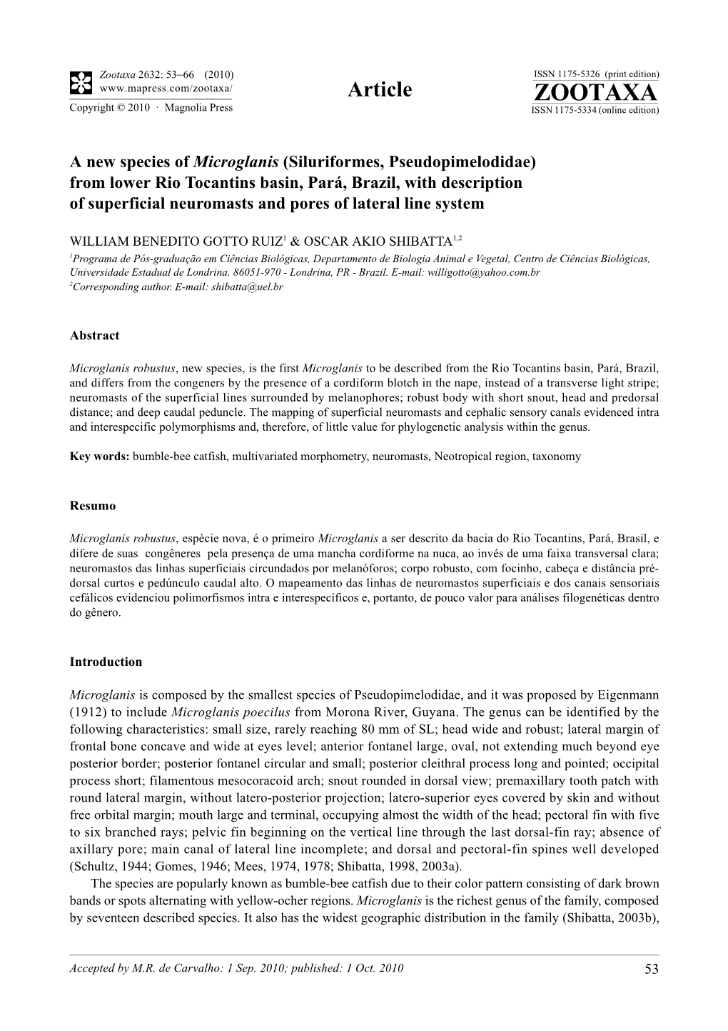 Zootaxa, a New Species of Microglanis (Siluriformes, Pseudopimelodidae)