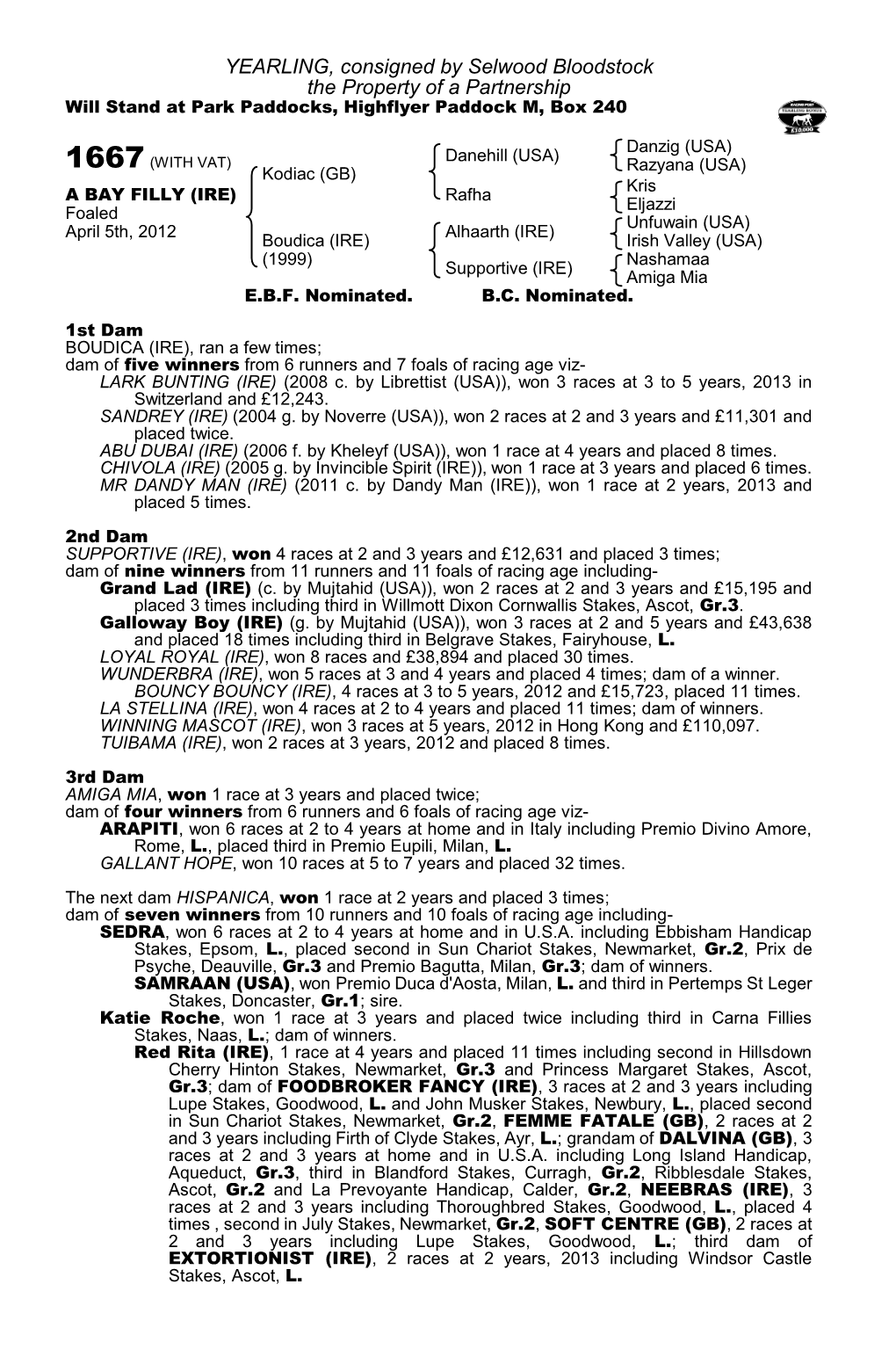 YEARLING, Consigned by Selwood Bloodstock the Property of a Partnership Will Stand at Park Paddocks, Highflyer Paddock M, Box 240