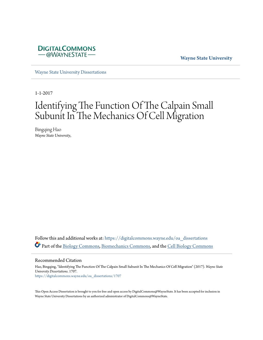 Identifying the Function of the Calpain Small Subunit in the Mechanics of Cell Migration